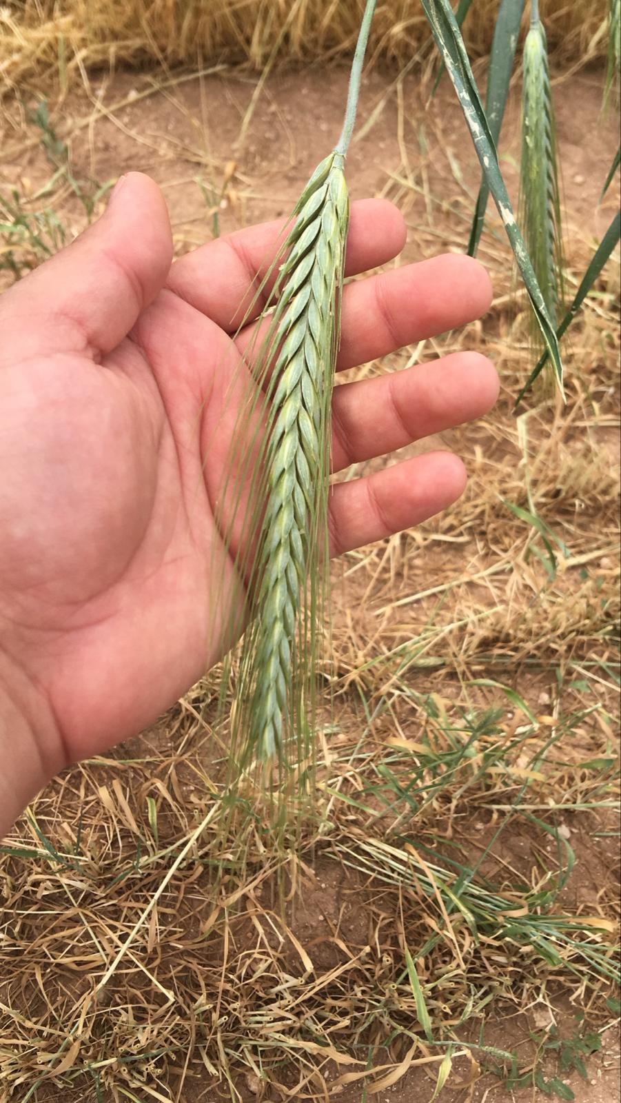 Uygulamalarımızdan Bazı Görüntüler