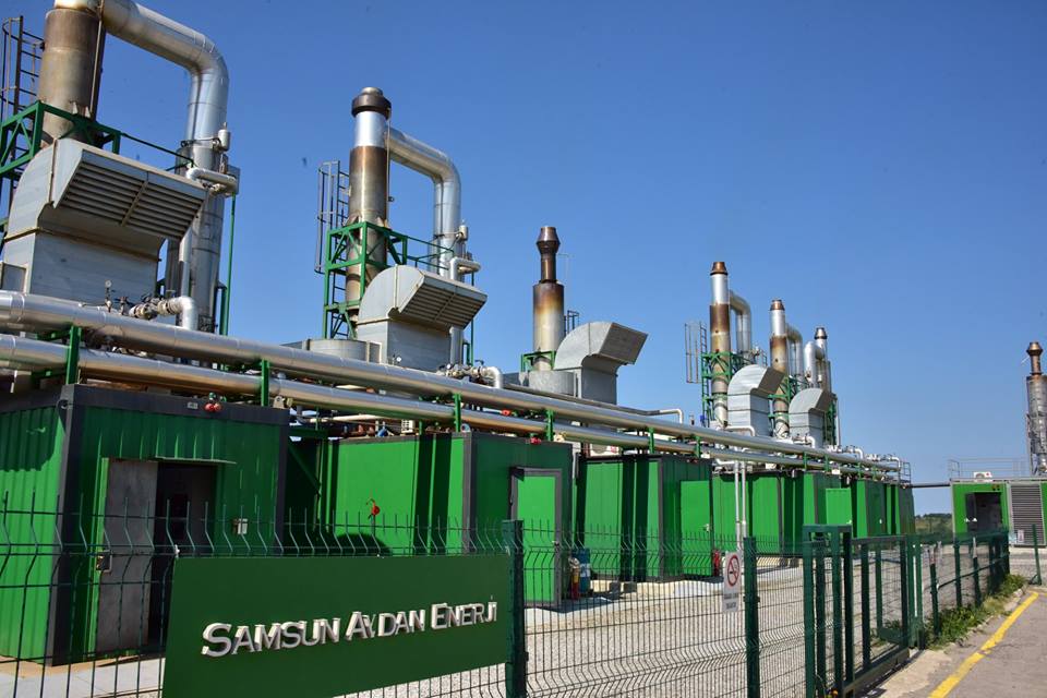 2209-A - Üniversite Öğrencileri Araştırma Projeleri Destekleme Programı Kapsamında devam eden