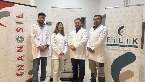 Çilek Bitkisinde Botrytis cinerea Fungusuna Karşı Fitopatojenik Mantar Önleyici Ürünün Etkinliğinin Belirlenmesi